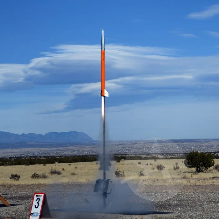 Arreauxbee-Hi - Image 2