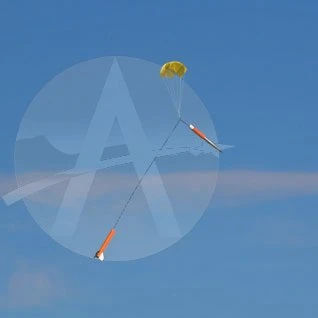 Arreauxbee-Hi - Image 20