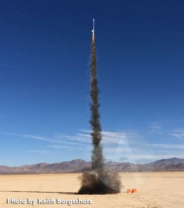 Blue Phenix Jr. - Image 3