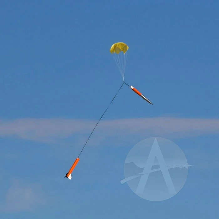 Arreauxbee-Hi - Image 6